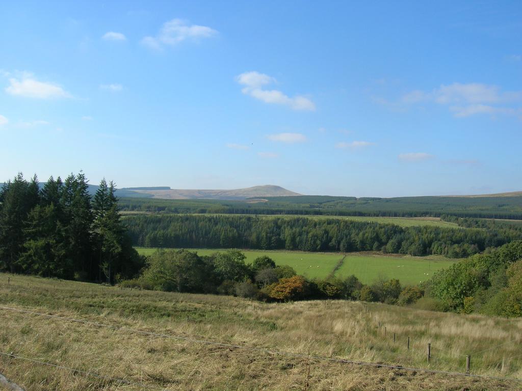 Sorbietrees B&B Newcastleton Eksteriør bilde