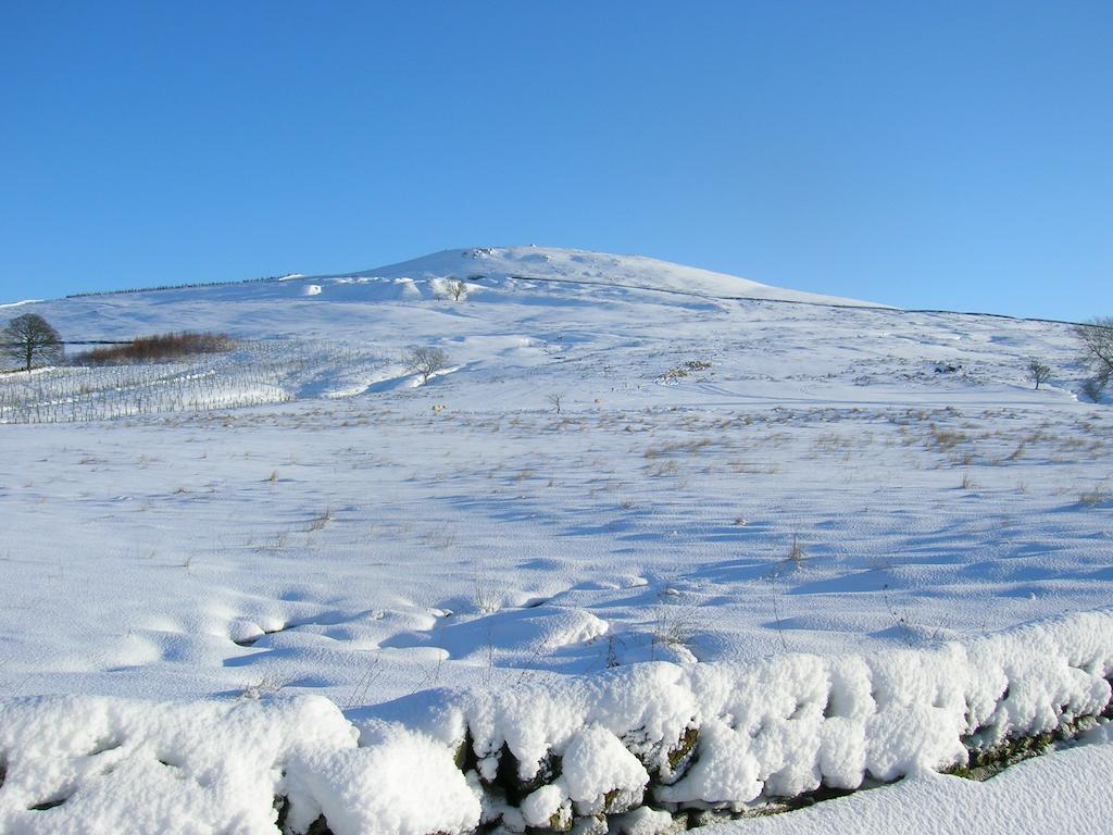 Sorbietrees B&B Newcastleton Eksteriør bilde